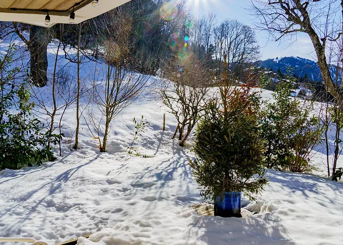 Le Pacha - Proche Centre